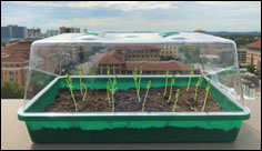 Self-Watering Soil Could Transform Farming