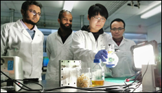More profitable and eco-friendly method for turning biomass into biochemicals and green hydrogen