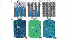 Wood-inspired cement with high strength and multifunctionality