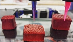 Animal and Plant Cells Combined for 3D-Printed Steaks