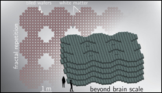 Combining light, superconductors could boost AI capabilities