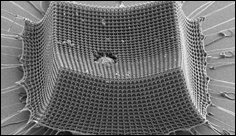 Ultralehký materiál odolává nárazům mikročástic při nadzvukové rychlosti