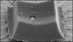 Ultralight material withstands supersonic microparticle impacts