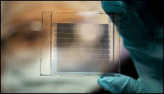 Vědci prodloužili životnost transparentních solárních článků