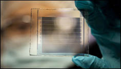 Solar cells with 30-year lifetimes for power-generating windows