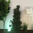 Obr. 15. Zajímavou novinkou společnosti Philips Lighting (nově Signify) je zahradní svítidlo Calla