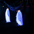 Obr. 2. Tematika světelných dekorací v zoo v Hluboké nad Vltavou se držela konceptu – „svítící zvířata“ a klasické nasvětlení cest, budov a stromů